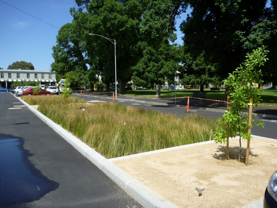 6. Darling st Completed project with Biofilta beds in the middle of the road (Medium)