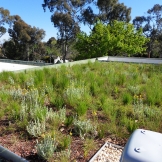 Green roof on a child care centre at Minifie Park