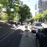 The treed median separates bikes from the flow of traffic on La Trobe Street