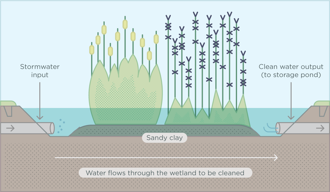 12981-CoM-Constructed-wetlands-infographic-1090px_21[1]
