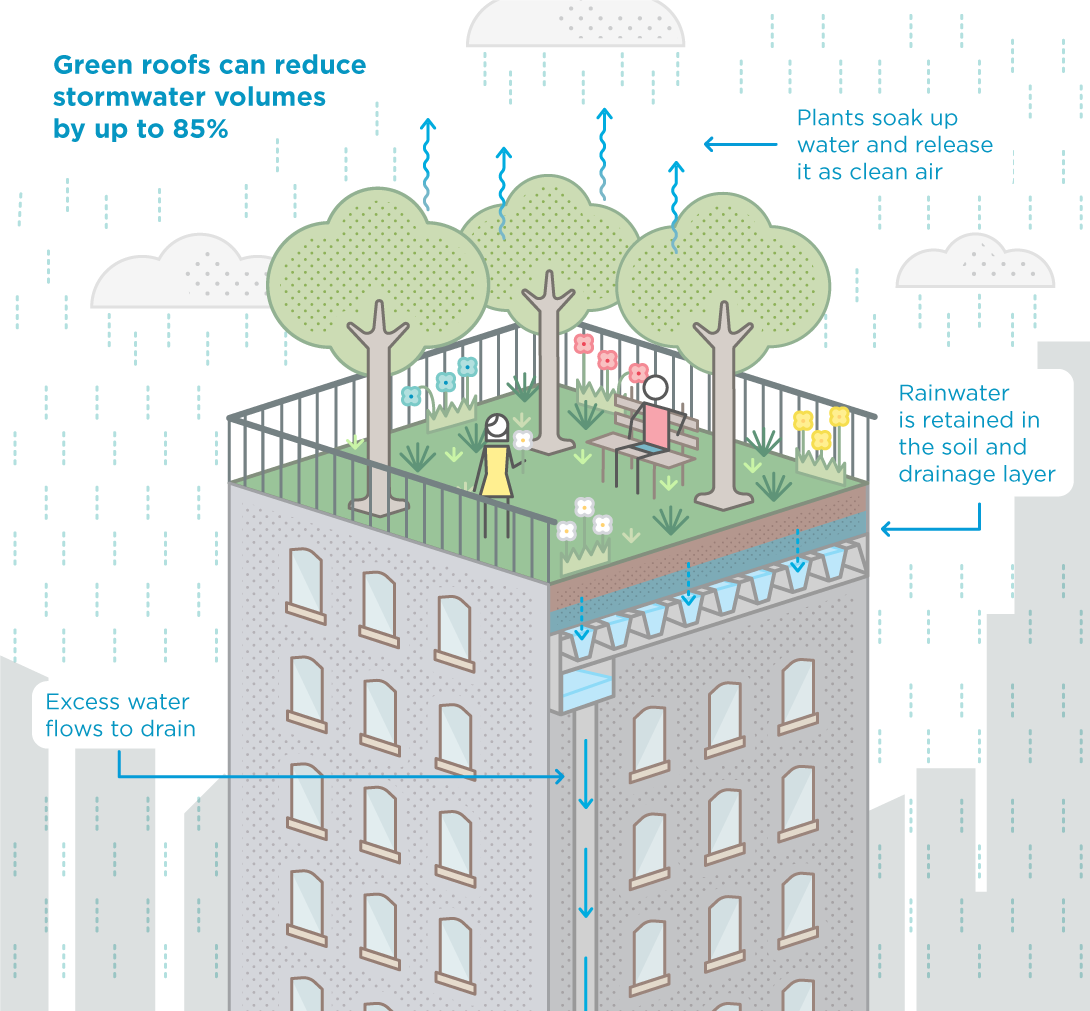 12981-CoM-Green-roofs-for-stormwater-retention-1090px