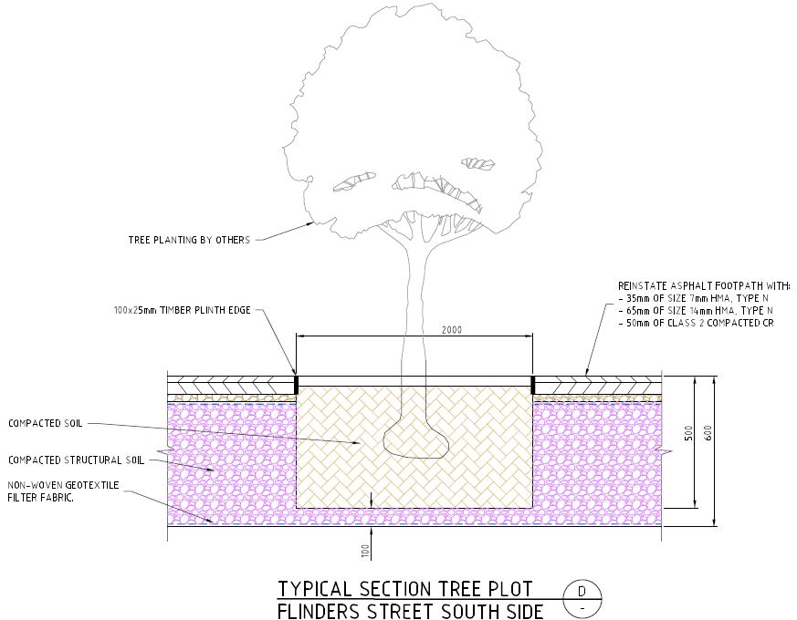 Flinders Street Tree Trench - Tree detail